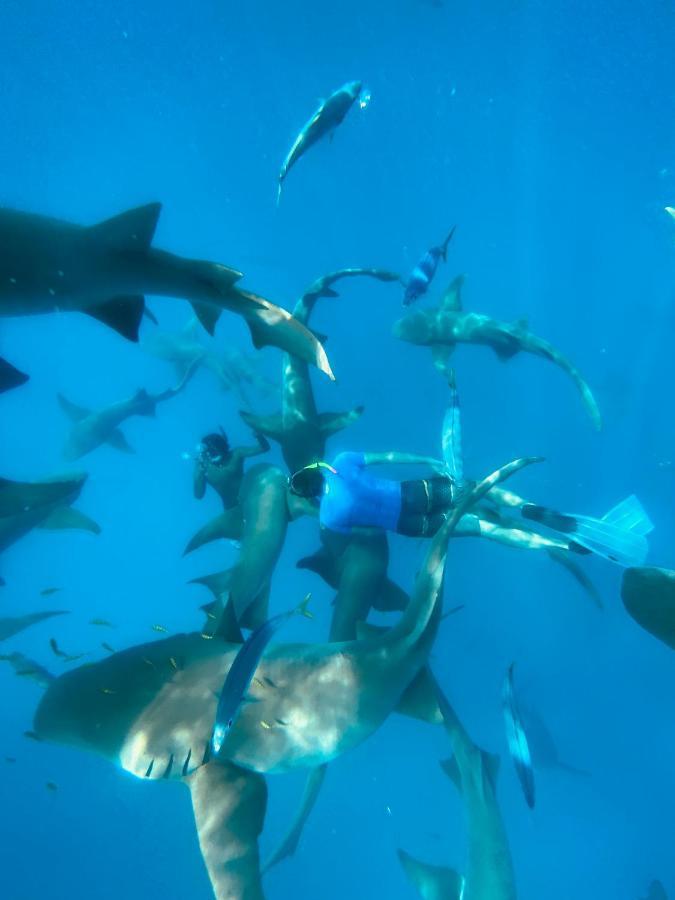 Hotel Reef Edge Thulusdhoo, Maldives Exterior foto