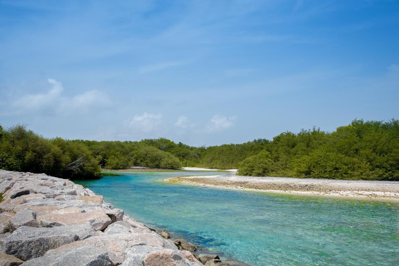Hotel Reef Edge Thulusdhoo, Maldives Exterior foto